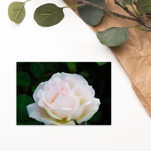 Carte postale standard