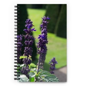 Bullet journal vibrante lavanda autocuidado relajante cuaderno original Ileana Concas fotografía