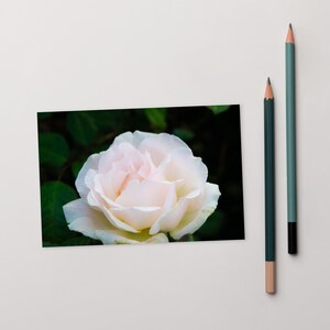 Standard postcard