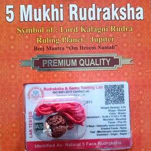 5 Mukhi Rudraksha - Zertifizierte Naturperle für Schutz, Meditation & positive Energie