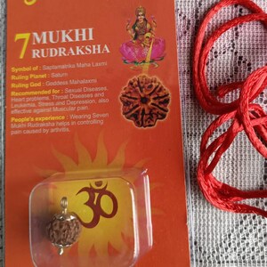 7 MUKHI CERTIFIED RUDRAKSHA
