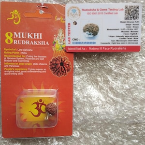 8 MUKHI ZERTIFIZIERTE RUDRAKSHA