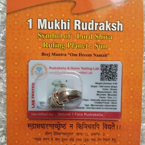 1 MUKHI ZERTIFIZIERTE RUDRAKSHA