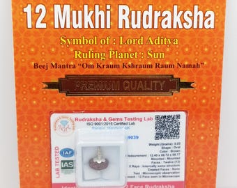12 Mukhi Rudraksha Bead: Lord Sun Symbol, Leadership Pendant