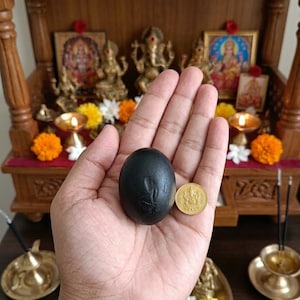 Santaan Gopal Shaligram Stone | Certified Natural Shaligram | Hindu Puja Item