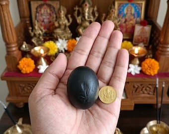 Santaan Gopal Shaligram-steen | Gecertificeerd natuurlijk saligram | Hindoeïstische puja-item