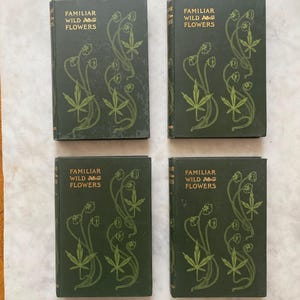 Familiar Wildflowers Books 4 Volumes by F. Edward Hulme, Antique Botanical Color Plates, Second, Third, Fifth and Sixth Series