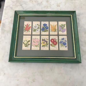 Kensitas Silks