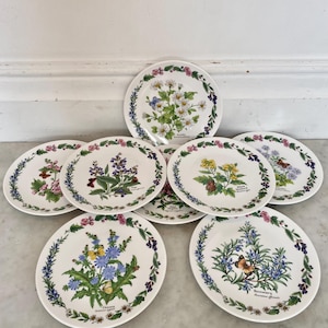 8 Royal Worcester Limited Edition Display Plates from the Royal Herbs Collection