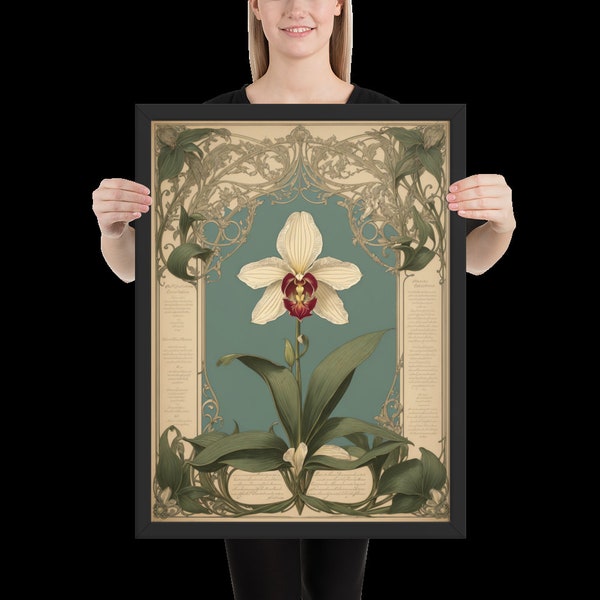 Framed Cattleya Orchid Poster Vintage Botanical Poster White Bloom