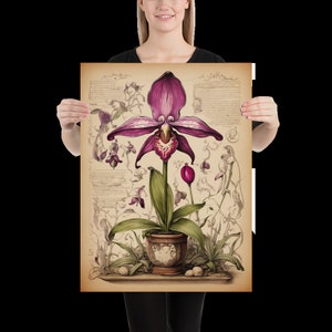 Lady Slipper Botanical Sketch Illustration Póster de papel mate mejorado 6 variaciones para elegir