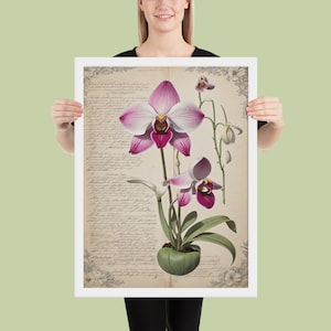 Framed Cattleya Orchid Poster Vintage Botanical Poster
