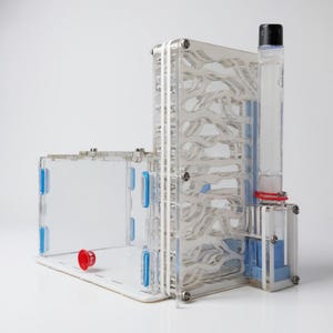 Acrylic Ant Farm with Feeding Area – T-Shaped Ant Nest, Clear Insect Habitat, Pet Ant Villa for Home Ant Keeping
