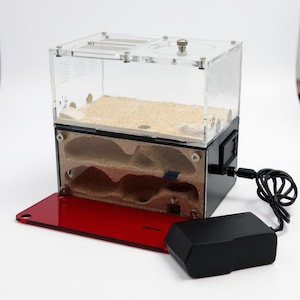 Large Concrete Ant Farm with Natural Sand – Heated Formicarium Nest, Automatic Moisture Control & Shaded Area for Ant Colonies