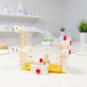 AntsyWonder DIY Ameisen Farm Set – 3D Gedruckt & Acryl – Erweiterbar, interaktiv und Spaß für jedes Alter
