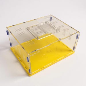 XL Acrylic Ant Farm: Grape Series Habitat with Activity Zone
