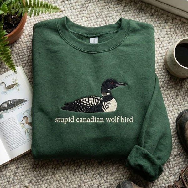 Gesticktes erhitztes Rivalitäts-Sweatshirt, Dummes kanadisches Wolfsvogel-Sweatshirt, Team Hollanov-Sweatshirt, LGBT Hockey-Fangeschenk