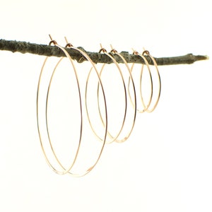 May include: A collection of rose gold hoop earrings of varying sizes are displayed on a brown twig against a white background. The earrings are thin and circular, with a simple, elegant design. The hoops are suspended from the twig.