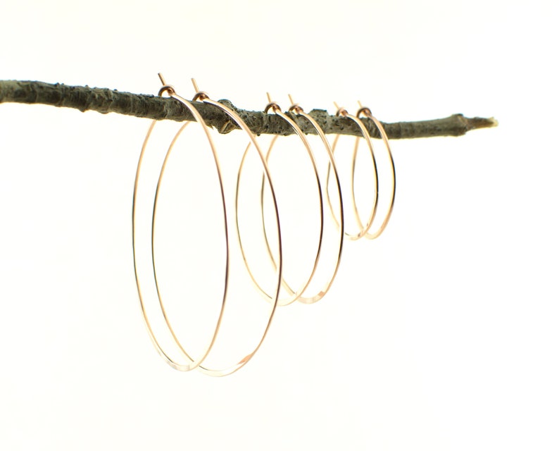 May include: A collection of rose gold hoop earrings of varying sizes are displayed on a brown twig against a white background. The earrings are thin and circular, with a simple, elegant design. The hoops are suspended from the twig.