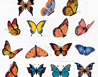 Butterfly Clipart Bundle, Watercolor Butterfly Png, Cute Butterfly Png, Butterfly Illustrations, Butterfly Sublimation, Instant Download