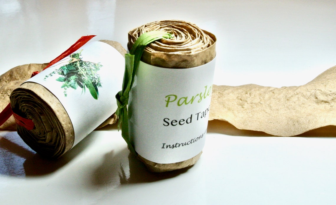 Organic Seed Tape 3 pack Flower Herb Vegetable Container Etsy