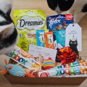 May include: A cat gift basket containing cat treats, toys, and a birthday tag. The basket includes Dreamies and Felix cat treats, a blue mouse toy, and a rainbow ball. Two cats are visible, seemingly inspecting the contents of the basket.