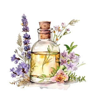 Herbal Apothecary Clipart Pack, 11 PNGs, Watercolor Bottles & Flowers, Magic Potions Clip Art, Transparent Background, Witchy Botanical Art