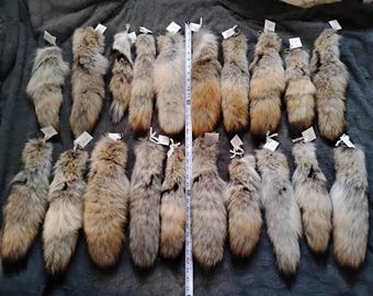 high quality taxidermy coyote tails, choose your own