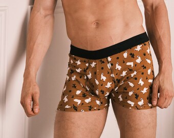 Llama Cactus Organic Cotton Boxer Briefs: Gift for Boyfriend