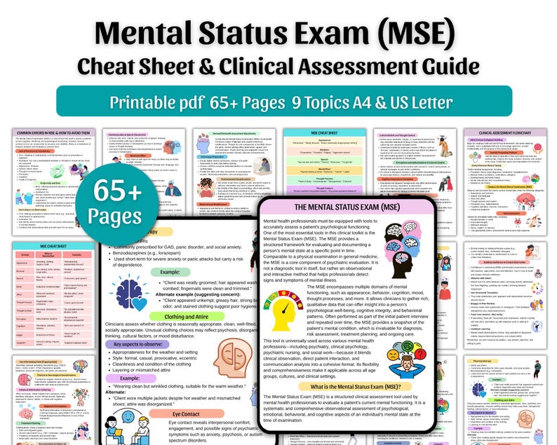 MSE Cheat Sheet & Clinical Assessment Guide (PDF) - Etsy