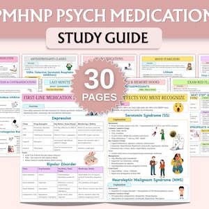 Könnte beinhalten: Ein Studienführer für PMHNP-Psychopharmaka mit rosa und weißem Design. Der Leitfaden enthält Abschnitte zu Antidepressiva, Stimmungsstabilisatoren und Examens-Warnhinweisen. Der Text lautet "Study Guide" und "30 Pages."