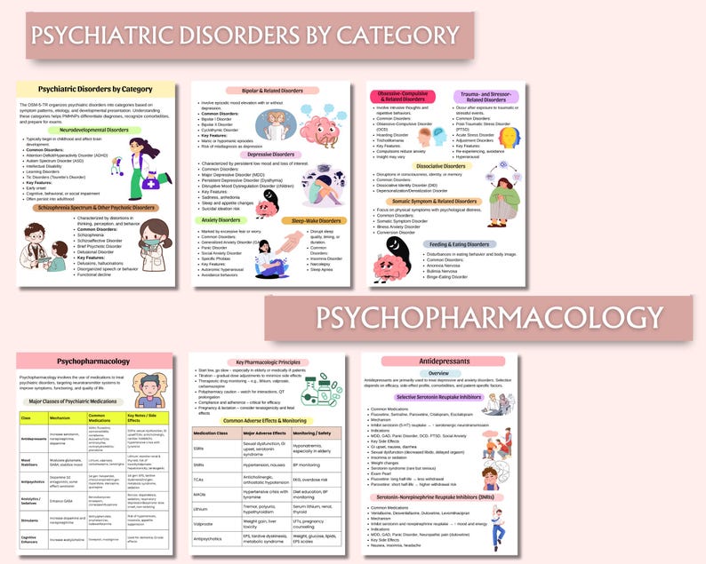 PMHNP Study Guide | Psychiatric Nurse Practitioner Exam Resource | Mental Health Notes | PDF image 4