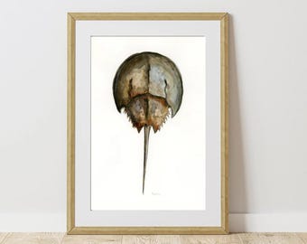 Horseshoe Crab Watercolor Painting Original Art Fine Art Giclée Print