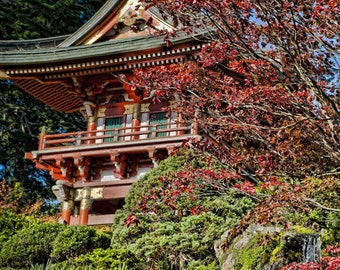 Secret Garden San Francisco photo Fine art travel | Etsy