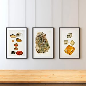 Vintage Crystal & Gemstone Gallery Wall Set of 3 | Printable Geology Art Prints, Agate Poster, Mineralogy Illustration, Digital Download