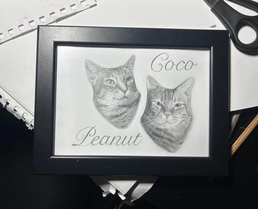 Custom Pet Portrait | Hand Drawn Graphite Pet Drawing | Personalized ...
