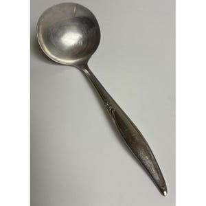 May include: A silver ladle with a round bowl and a long, slender handle. The handle has a decorative floral design near the bowl. The ladle is made of a shiny, reflective metal.