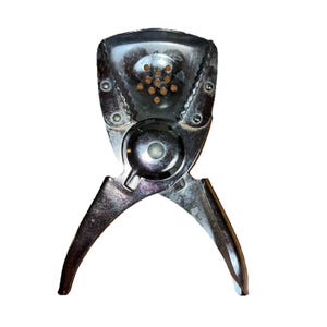May include: A silver citrus juicer with a hinged design. The juicer features a round pressing area with small holes and two handles. The metal tool is designed for squeezing juice from lemons, limes, and other citrus fruits.