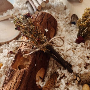 Forage Sticks