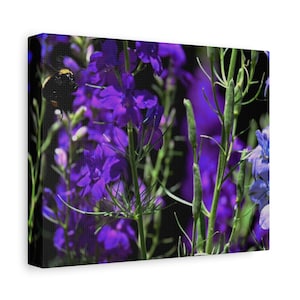 Floral Canvas Art, Flower Wall Decor, Botanical Print, Purple Floral Artwork, Home Decor, Gift for Nature Lovers