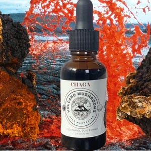 Chaga Dual Extract Tincture