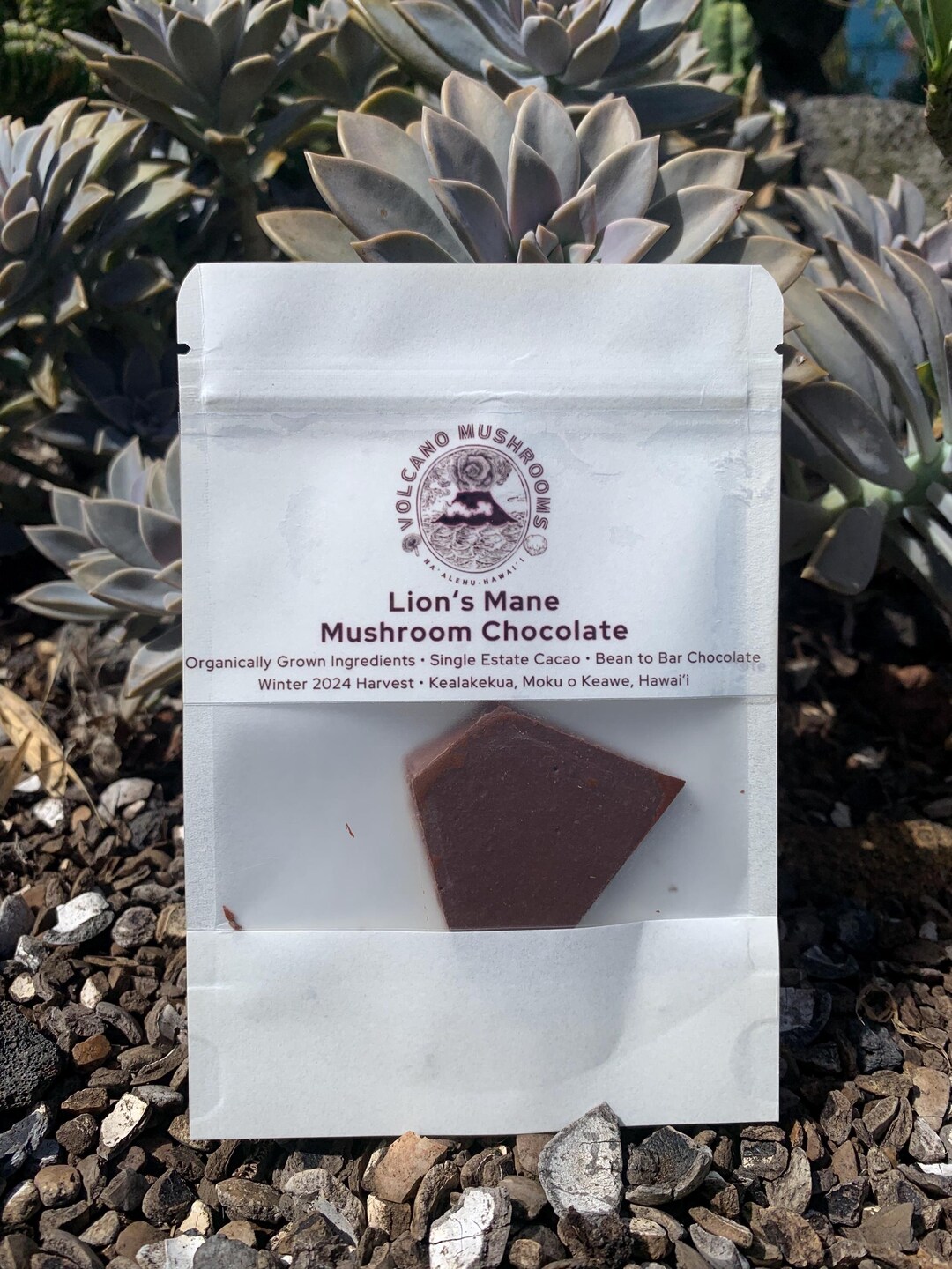 Lion’s Mane Mushroom Chocolate - Etsy