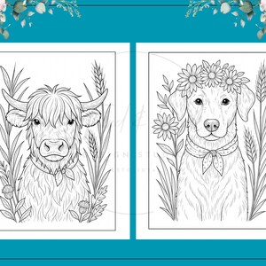 Puede incluir: Dos p&aacute;ginas para colorear en blanco y negro. Una presenta una vaca de las Tierras Altas con cuernos largos y pelaje lanudo, rodeada de plantas. La otra muestra un perro con una corona de flores y una bufanda, tambi&eacute;n rodeado de plantas. Ambas est&aacute;n enmarcadas con un borde turquesa y detalles florales.