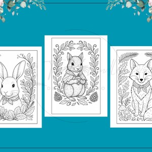 Puede incluir: Tres ilustraciones en blanco y negro de animales del bosque: un conejo, una ardilla y un zorro. Cada animal est&aacute; rodeado por un borde decorativo de hojas y flores. Las im&aacute;genes son para colorear.