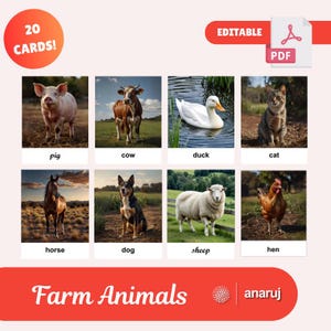 Farm Animal - 20 flashcards Montessori style