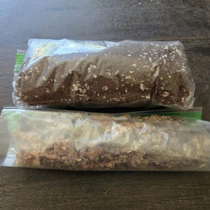 Carnivorous Plant Soil Mix, Venus Flytrap Sarracenia Sundews, Peat Perlite Bog Garden Potting