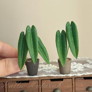 May include: Miniature potted plants with long, green leaves. One plant is held by a hand, while another sits on a small wooden dresser. The dresser has multiple drawers with metal pulls. The text "Hattie Hetarah" is visible.