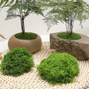 Sztuczny mech do rękodzieła: Fairy Garden & Terrarium Supply (450 g/15,8 uncji)