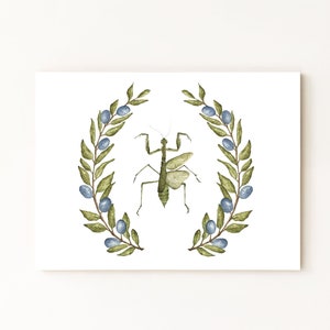 Praying Mantis Print. Hand Drawn Watercolor Illustration. 8x10&quot;