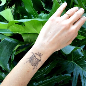 Wild Florida Temporary Tattoos beetle bugs herpetology stickers gator alligator raccoon lizard southern leopard frog drawing illustration green plants leaves